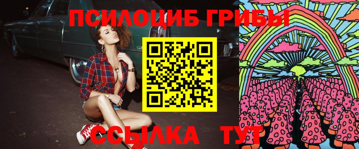 Елабуга  Псилоцибиновые грибы Psilocybe  хочу наркоту  Псилоцибиновые грибы ЛСД  Вход с VPN 
