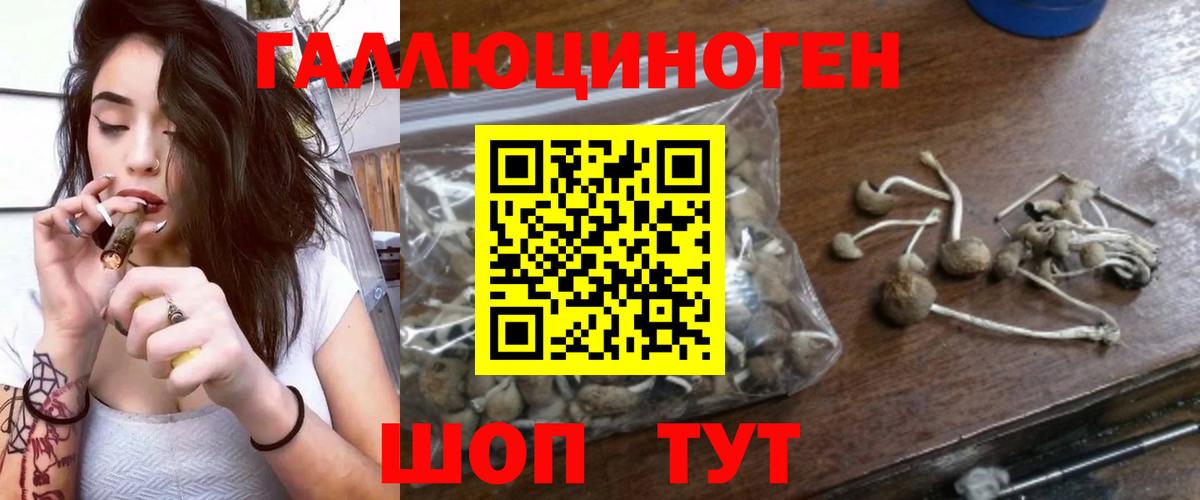 Галлюциногенные грибы прущие грибы Елабуга